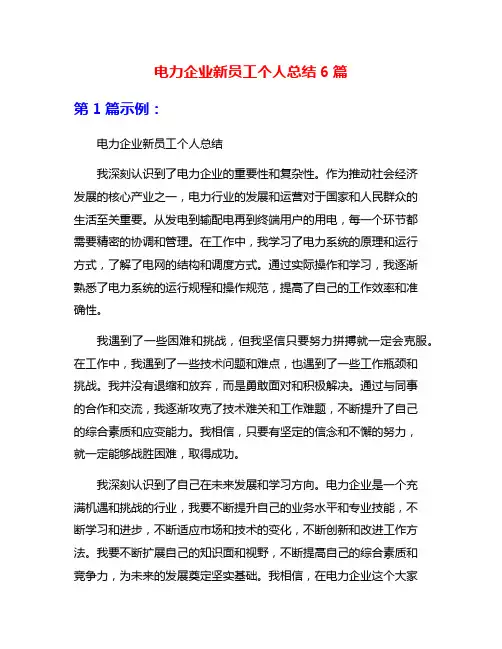 电力企业新员工个人总结6篇