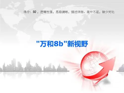 电器网店运营管理剖析电子商务案例分析