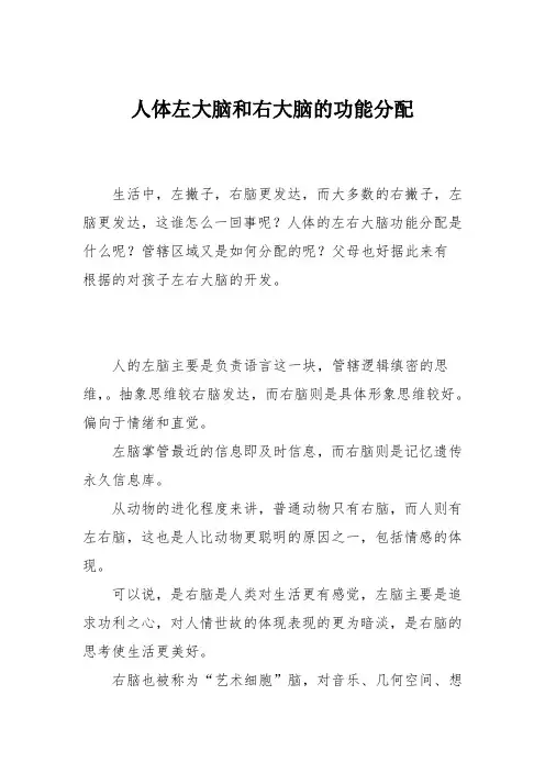 育儿知识：人体左大脑和右大脑的功能分配