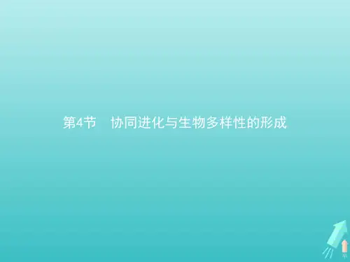 高中生物第6章生物的进化第4节协同进化与生物多样性的形成课件新人教版必修