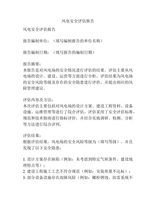 风电安全评估报告