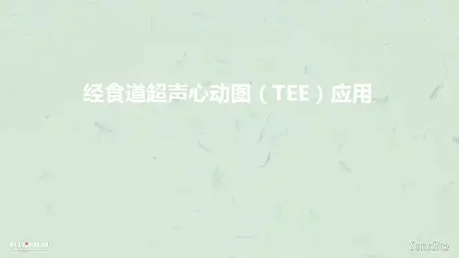 经食道超声心动图应用课件