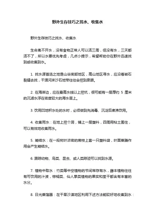 野外生存技巧之找水、收集水