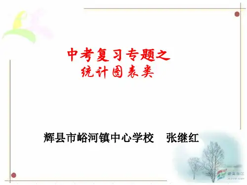 中考图表类——表格题