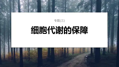 第一篇 主题一 专题(三) 命题点2 酶和ATP在代谢中的作用-2024届高三二轮复习生物学(新教材