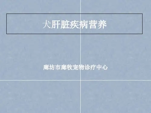 犬肝脏疾病营养代谢ppt课件