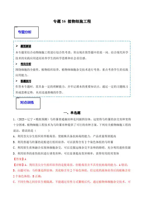 专题16 植物细胞工程(解析版)