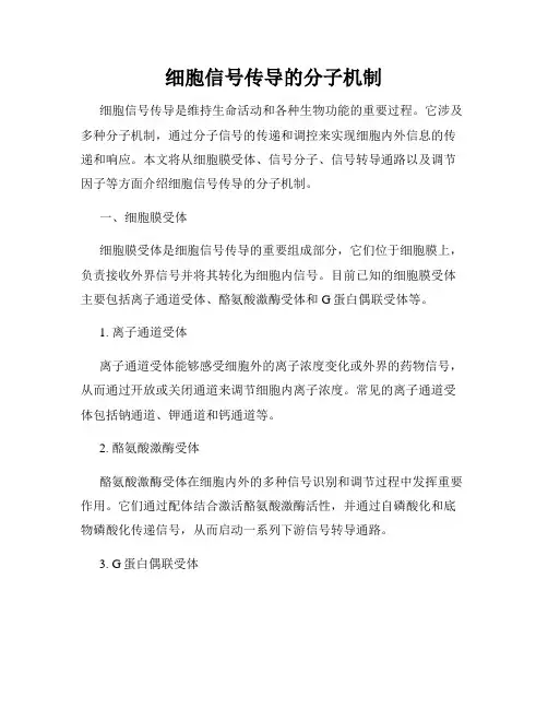 细胞信号传导的分子机制