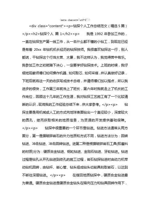 钻探个人工作总结范文（精选5篇）
