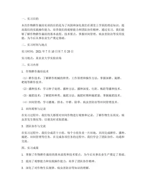 作物耕作栽培实训报告