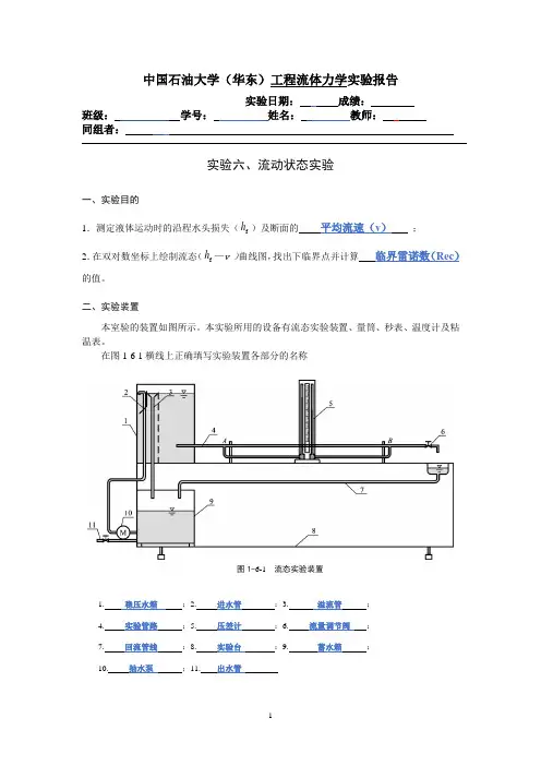 流体力学实验报告