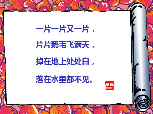 12看雪PPT课件
