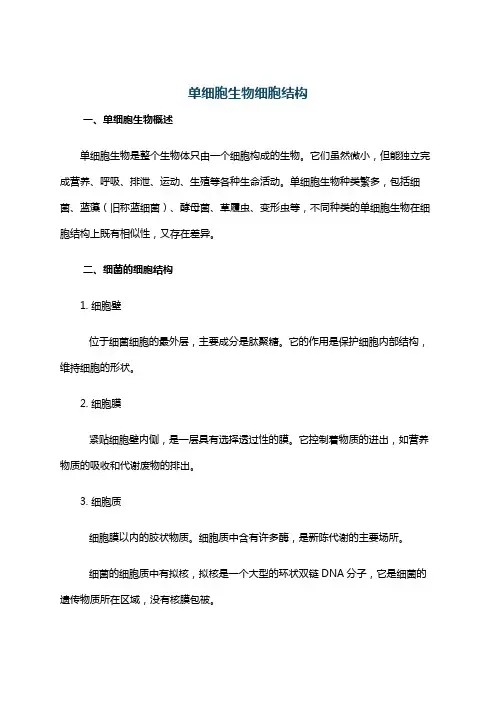单细胞生物细胞结构