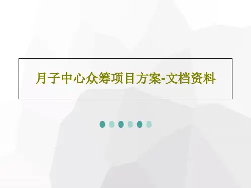 月子中心众筹项目方案-文档资料PPT60页