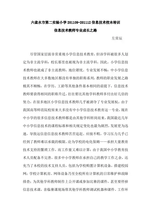信息技术教师专业成长之路