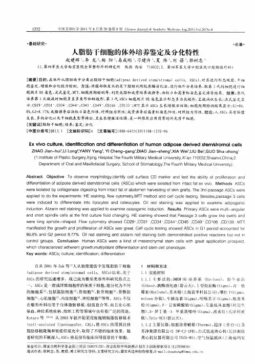 人脂肪干细胞的体外培养鉴定及分化特性