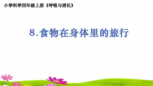 教科版小学科学四年级上册《食物在身体里的旅行》教学课件ppt