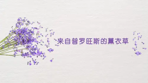 《普罗旺斯的薰衣草》6至8岁创意美术PPT课件