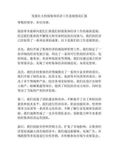 发展壮大村级集体经济工作进展情况汇报