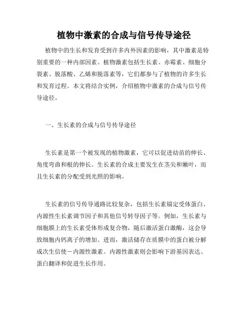 植物中激素的合成与信号传导途径
