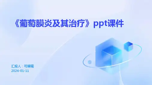 《葡萄膜炎及其治疗》PPT课件