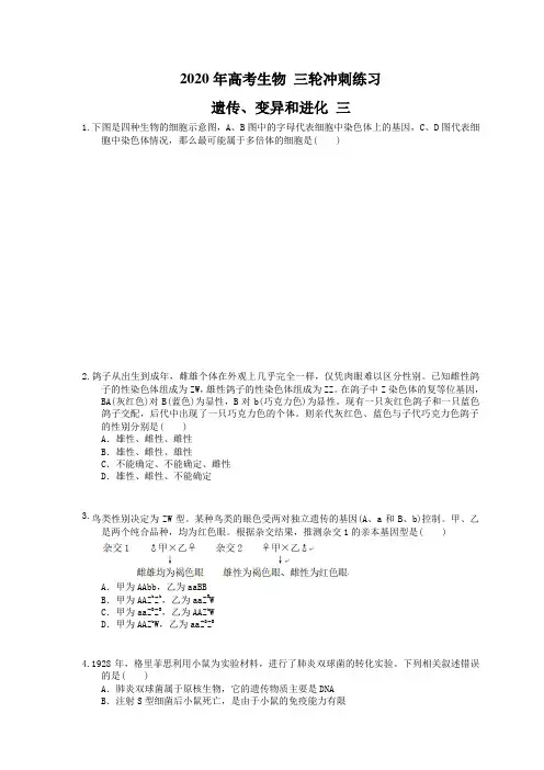 2020年高考生物 三轮冲刺练习 遗传、变异和进化 三(20题含答案解析)