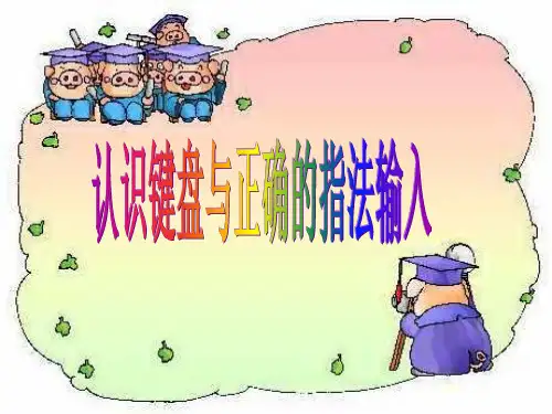 认识键盘与正确的指法输入