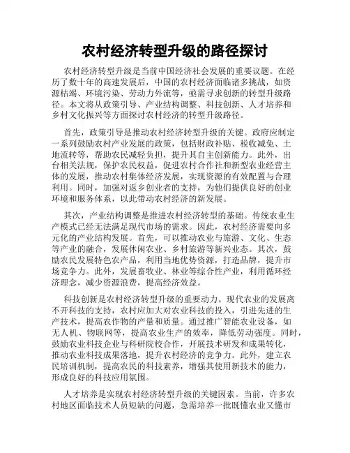 农村经济转型升级的路径探讨