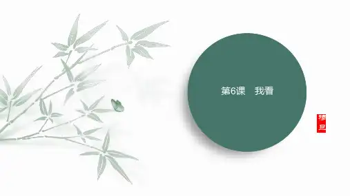 第6课 《我看》 课件(共35张PPT)