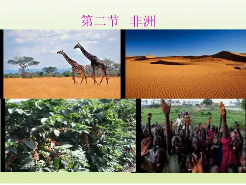 湘教版七级地理下册 62 非洲 课件共16张