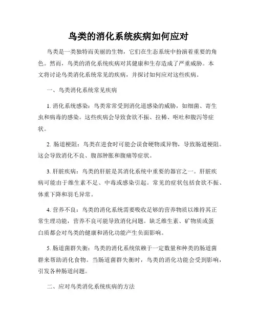 鸟类的消化系统疾病如何应对