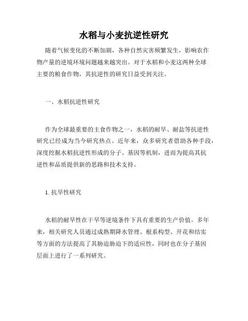 水稻与小麦抗逆性研究