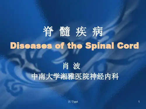 脊髓疾病-中英对照