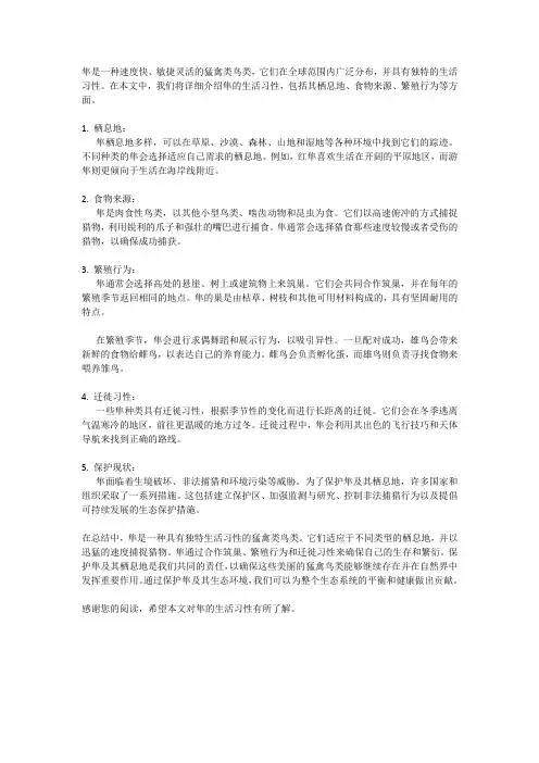 隼生活习性