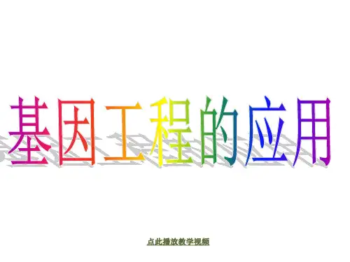 生物：1.3《基因工程的应用》ppt(新人教版选修3)