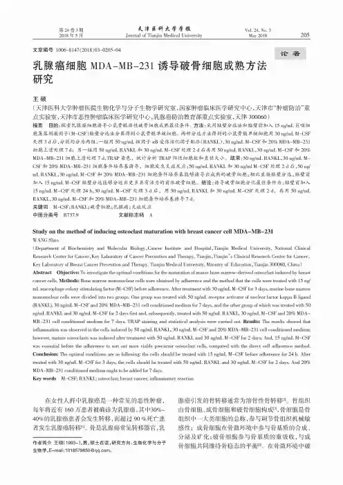 乳腺癌细胞MDA-MB-231诱导破骨细胞成熟方法研究