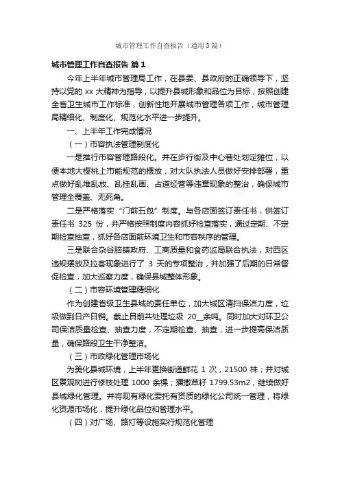 城市管理工作自查报告（通用3篇）