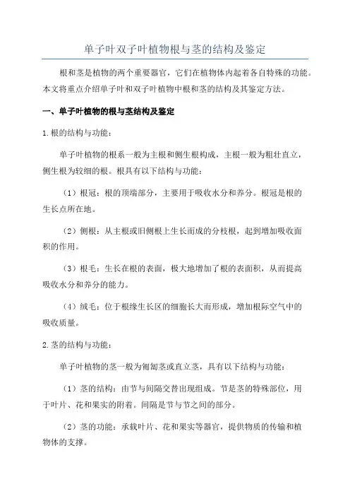 单子叶双子叶植物根与茎的结构及鉴定