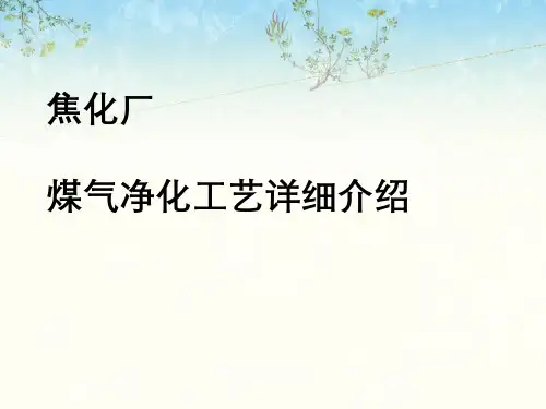 焦化厂煤气净化工艺详细介绍