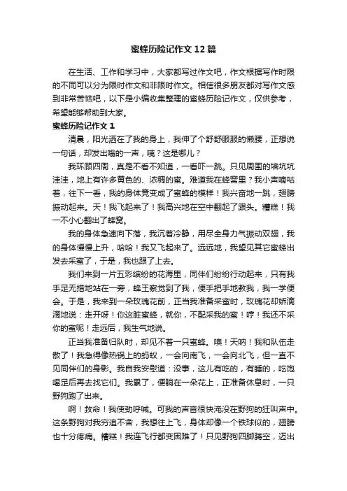蜜蜂历险记作文12篇