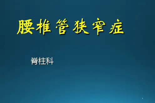 腰椎管狭窄症PPT课件