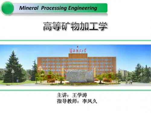 高等矿物加工学(王学涛)