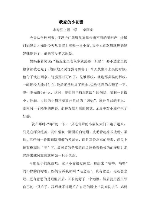 我家的小花猫