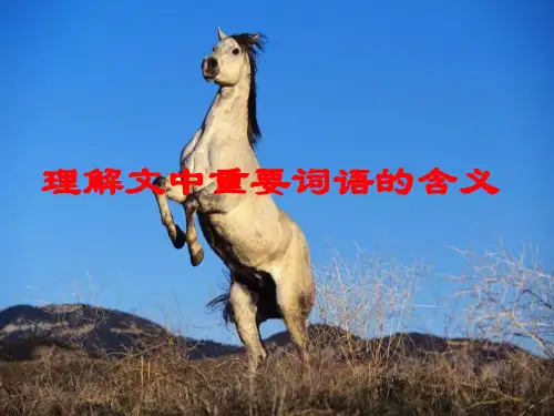 理解文中重要词语的含义(用)