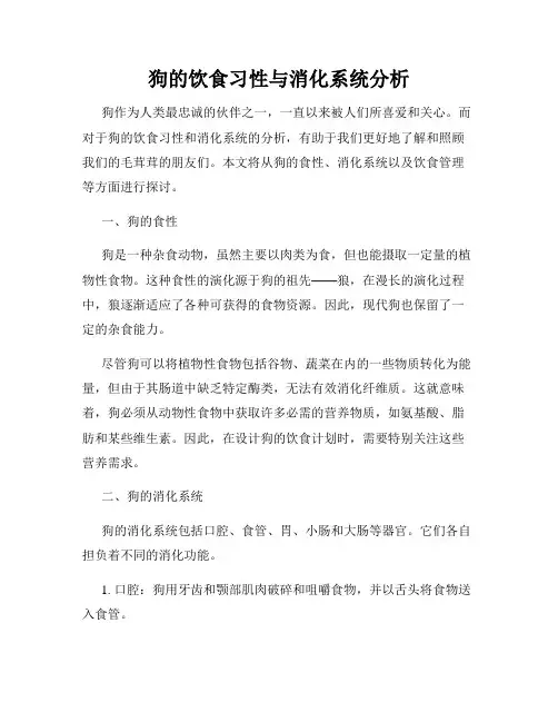 狗的饮食习性与消化系统分析