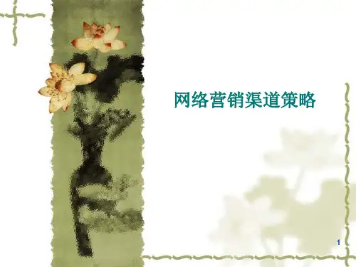 网络营销渠道策略课件ppt