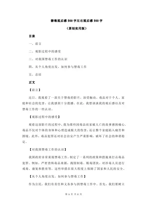 禁毒观后感500字左右观后感500字
