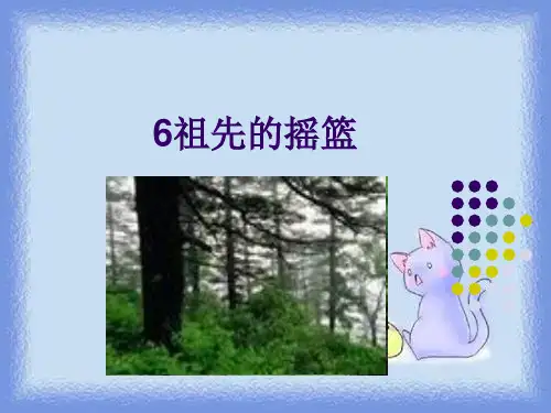 沪教版四年级下册《祖先的摇篮》精品课件