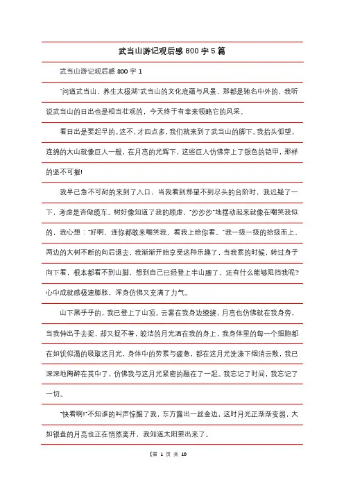 武当山游记观后感800字5篇