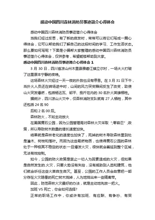 感动中国四川森林消防员事迹简介心得体会